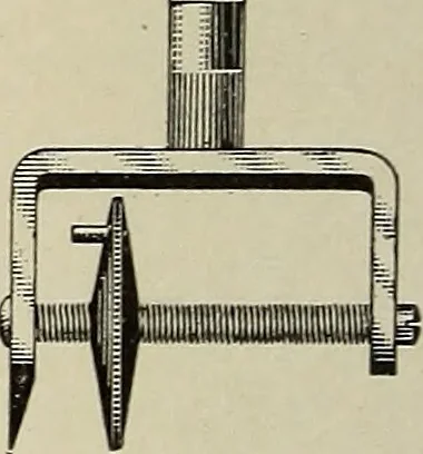 An illustration from Complete catalog and price list, 1900, leaf 55