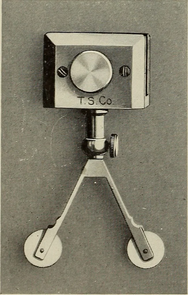 An illustration from Complete catalog and price list, 1900, leaf 67