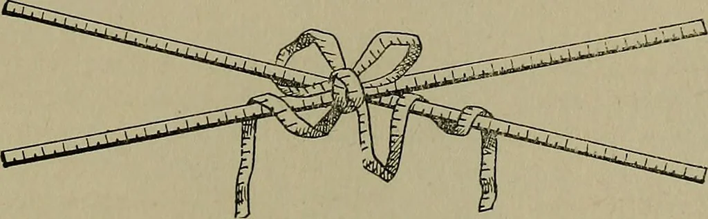 An illustration from A complete dictionary of dry goods and history of silk, linen, wool and other fibrous substances, 1892, leaf 404
