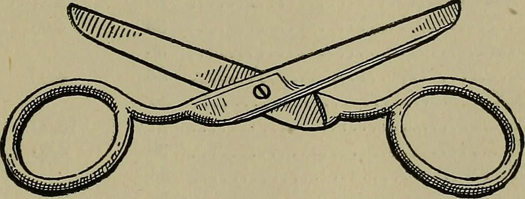 An illustration from A complete dictionary of dry goods and history of silk, linen, wool and other fibrous substances, 1892, leaf 410