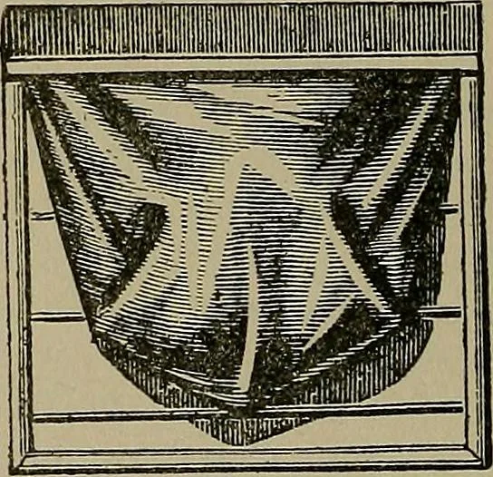 An illustration from A complete dictionary of dry goods and history of silk, linen, wool and other fibrous substances, 1892, leaf 491