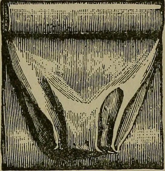 An illustration from A complete dictionary of dry goods and history of silk, linen, wool and other fibrous substances, 1892, leaf 492