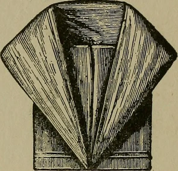 An illustration from A complete dictionary of dry goods and history of silk, linen, wool and other fibrous substances, 1892, leaf 492