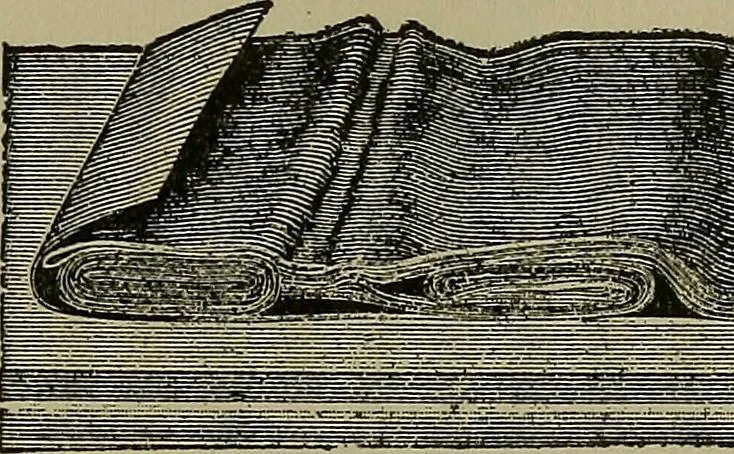 An illustration from A complete dictionary of dry goods and history of silk, linen, wool and other fibrous substances, 1892, leaf 496