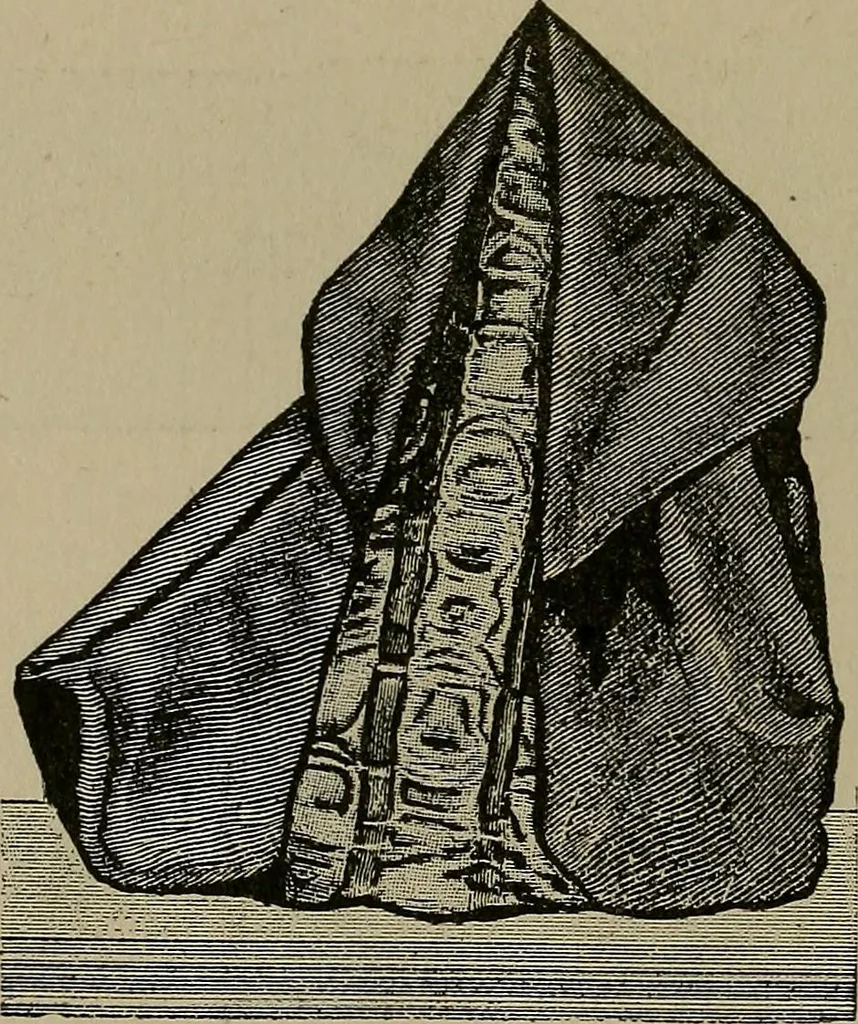 An illustration from A complete dictionary of dry goods and history of silk, linen, wool and other fibrous substances, 1892, leaf 497