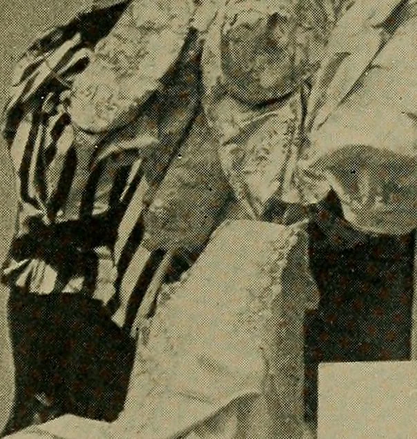 An illustration from A complete dictionary of dry goods and history of silk, linen, wool and other fibrous substances, 1892, leaf 500