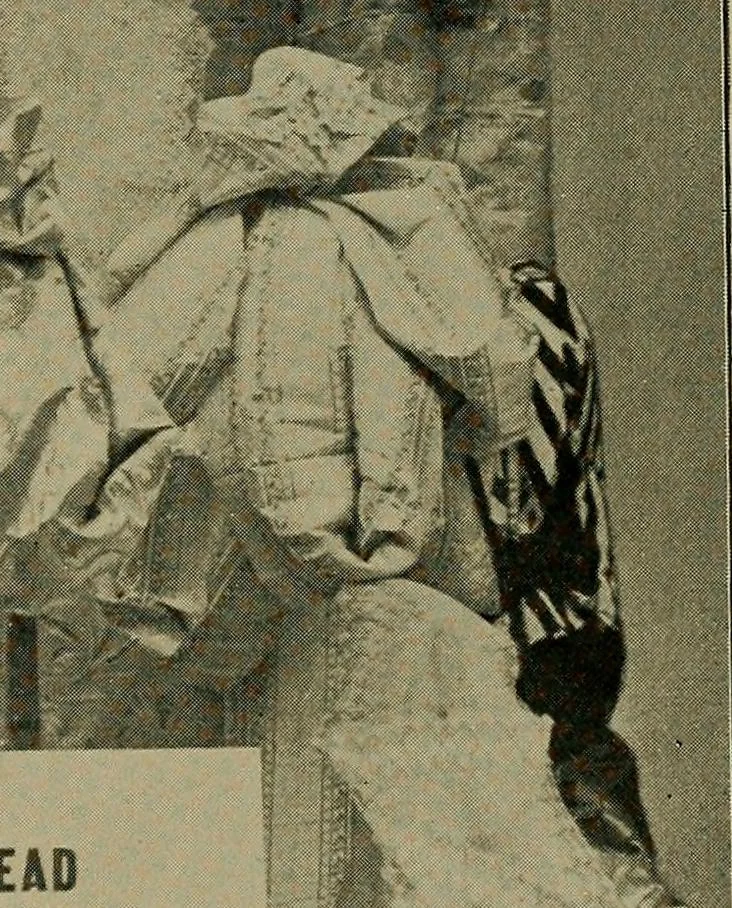 An illustration from A complete dictionary of dry goods and history of silk, linen, wool and other fibrous substances, 1892, leaf 500