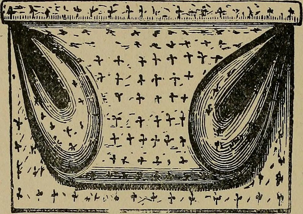 An illustration from A complete dictionary of dry goods and history of silk, linen, wool and other fibrous substances, 1892, leaf 503