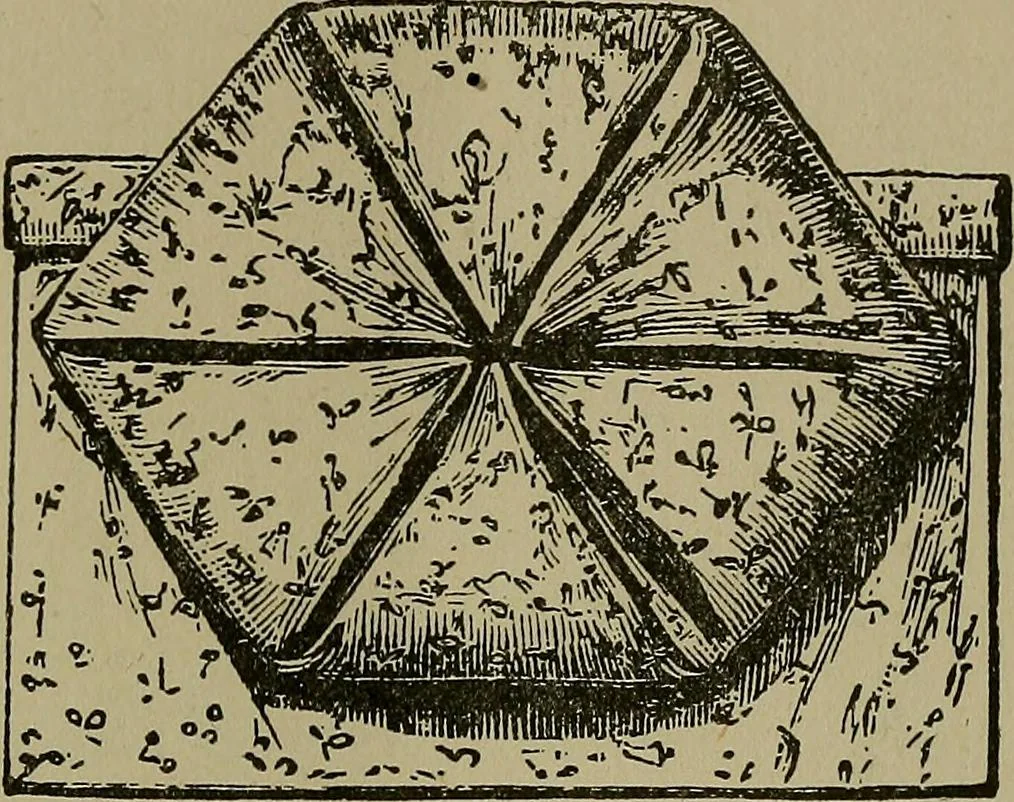An illustration from A complete dictionary of dry goods and history of silk, linen, wool and other fibrous substances, 1892, leaf 504