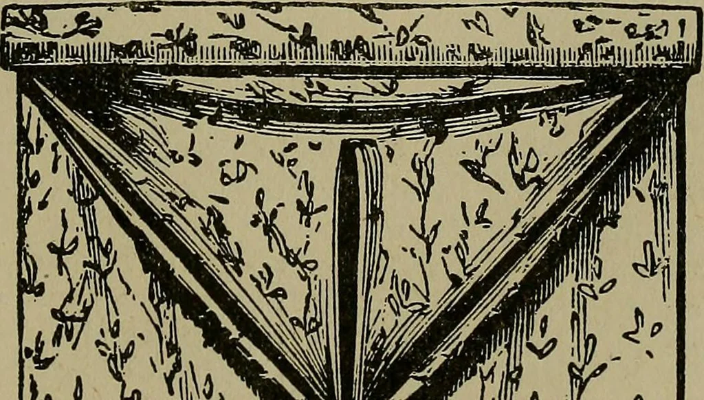 An illustration from A complete dictionary of dry goods and history of silk, linen, wool and other fibrous substances, 1892, leaf 504