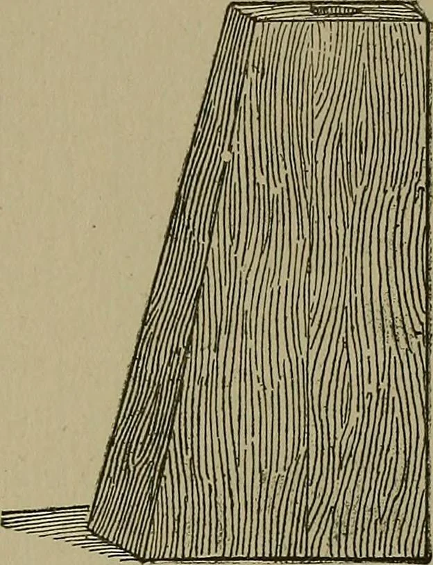 An illustration from A complete dictionary of dry goods and history of silk, linen, wool and other fibrous substances, 1892, leaf 508