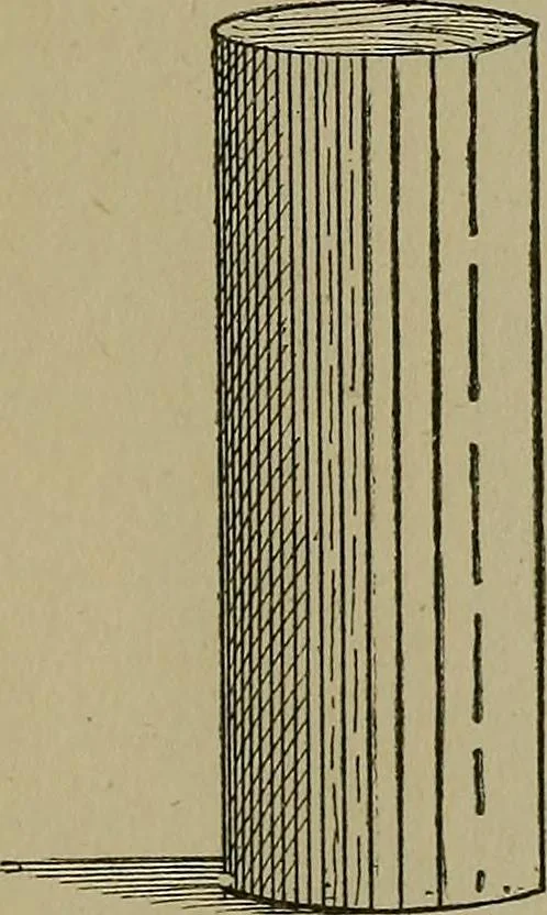 An illustration from A complete dictionary of dry goods and history of silk, linen, wool and other fibrous substances, 1892, leaf 508