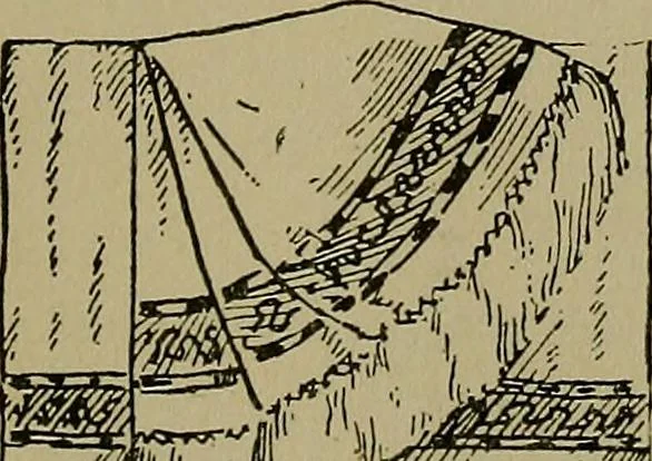 An illustration from A complete dictionary of dry goods and history of silk, linen, wool and other fibrous substances, 1892, leaf 518