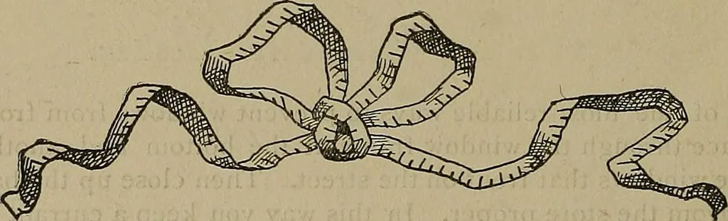 An illustration from A complete dictionary of dry goods and history of silk, linen, wool and other fibrous substances, 1892, leaf 567