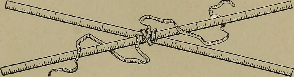 An illustration from A complete dictionary of dry goods and history of silk, linen, wool and other fibrous substances, 1892, leaf 8