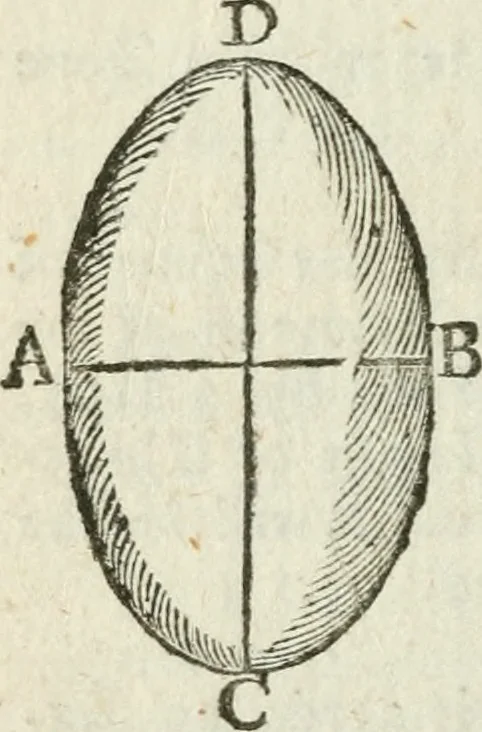 An illustration from The complete measurer; or, The whole art of measuring .., 1789, leaf 213
