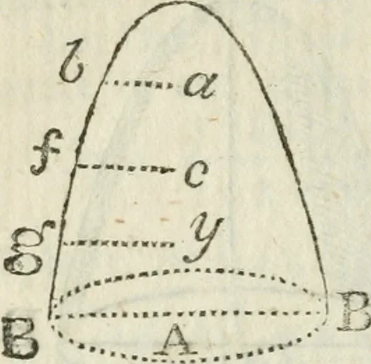 An illustration from The complete measurer; or, The whole art of measuring .., 1789, leaf 217