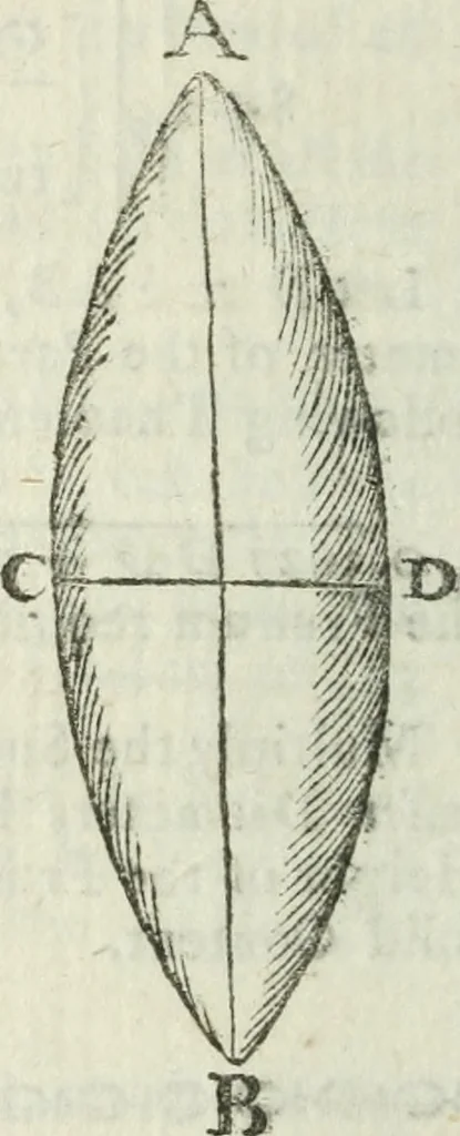 An illustration from The complete measurer; or, The whole art of measuring .., 1789, leaf 219