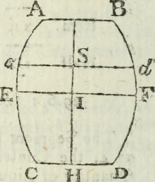 An illustration from The complete measurer; or, The whole art of measuring .., 1789, leaf 349