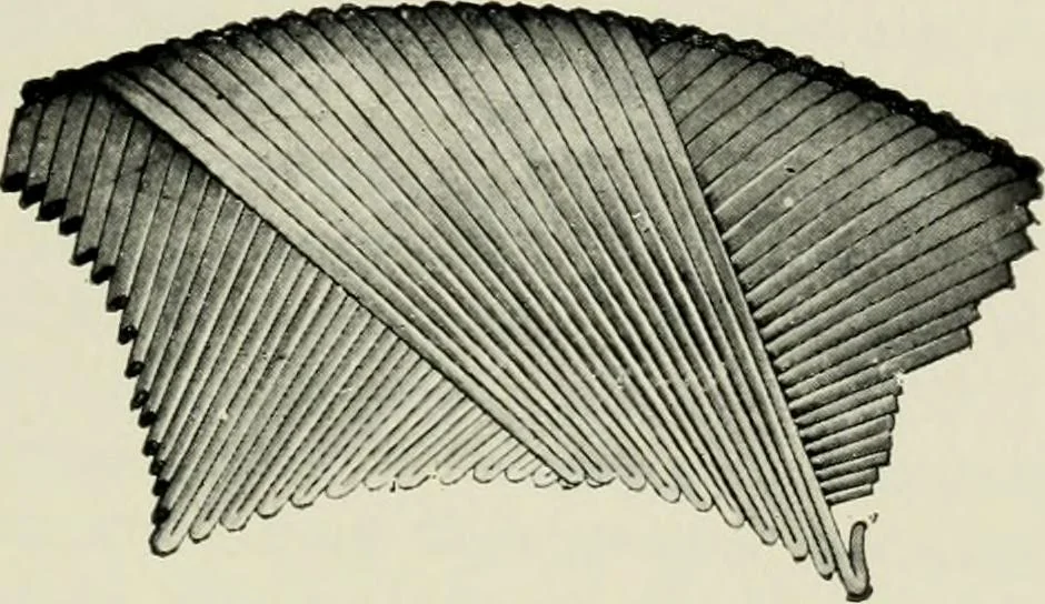 An illustration from The complete motorist, being an account of the evolution and construction of the modern motor-car; with notes on the selection, use, and maintenance of the same; and on the pleasures of travel upon the public roads, 1905, leaf 364