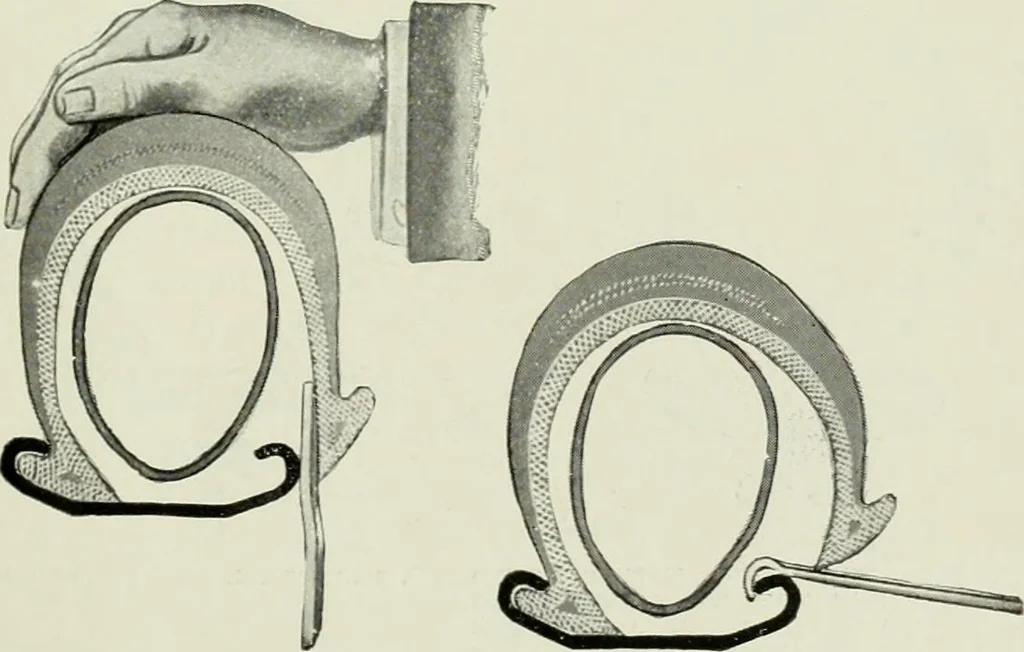 An illustration from The complete motorist, being an account of the evolution and construction of the modern motor-car; with notes on the selection, use, and maintenance of the same; and on the pleasures of travel upon the public roads, 1905, leaf 370