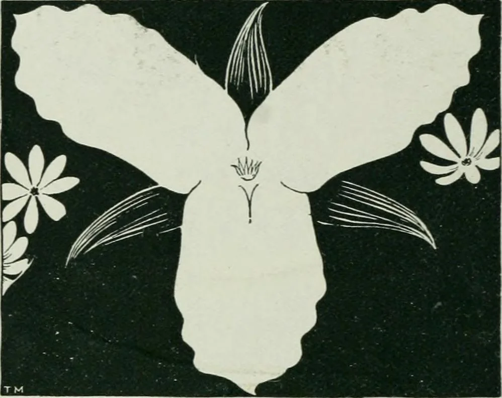 An illustration from Complete perspective course : comprising the elementary and advanced stages of perspective, the projection of shadows and reflections, with exercises in theory and practice, also the practical application of perspective, 1900, leaf 1