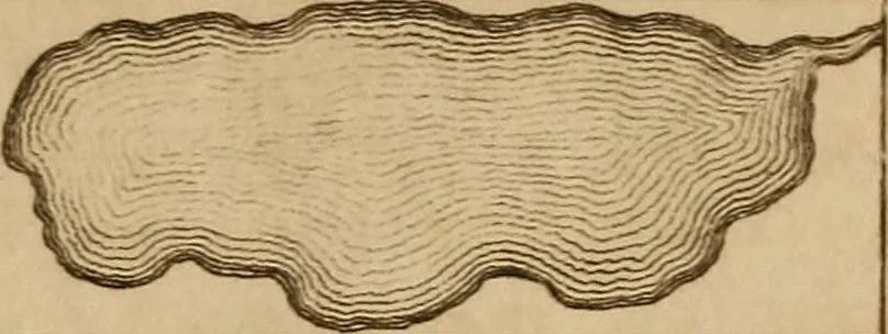 An illustration from A complete treatise on practical land-surveying, in seven parts;, 1839, leaf 284