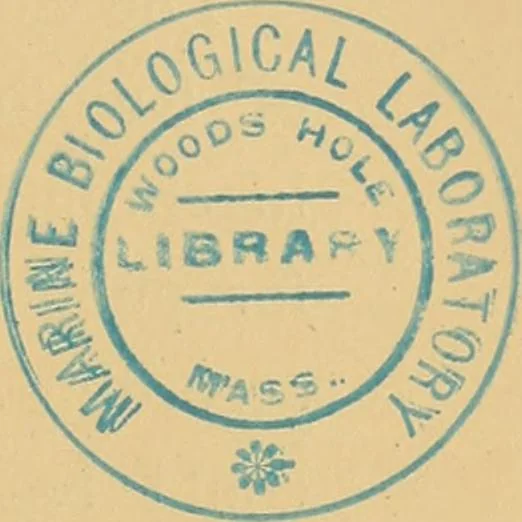 An illustration from The complete works of Count Rumford, 1870, leaf 10