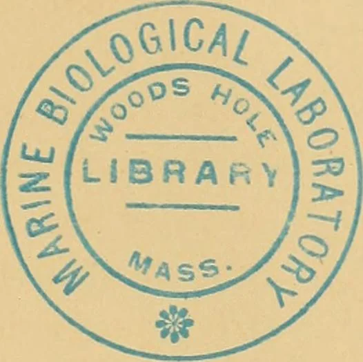 An illustration from The complete works of Count Rumford, 1870, leaf 516