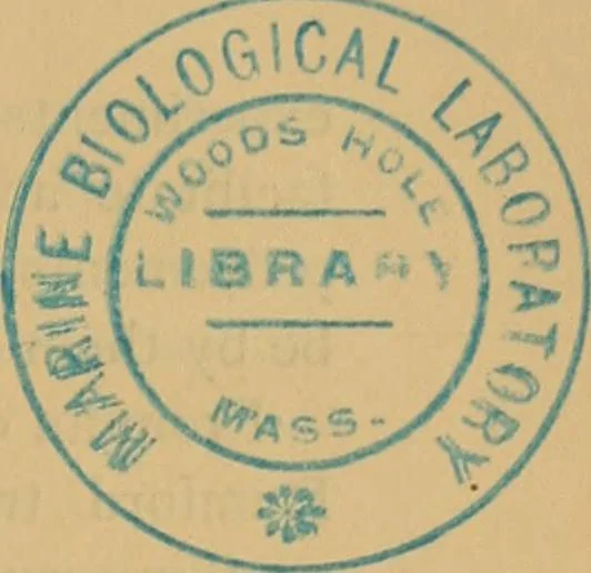 An illustration from The complete works of Count Rumford, 1870, leaf 6
