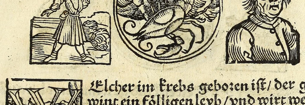 An illustration from Complexion : Natür vnd Eigenschafft eines yeden Menschen zü erfaren, auch seiner Gebürtstund vnnd Zeychen, ... auss zü rechnen, 1534, leaf 21