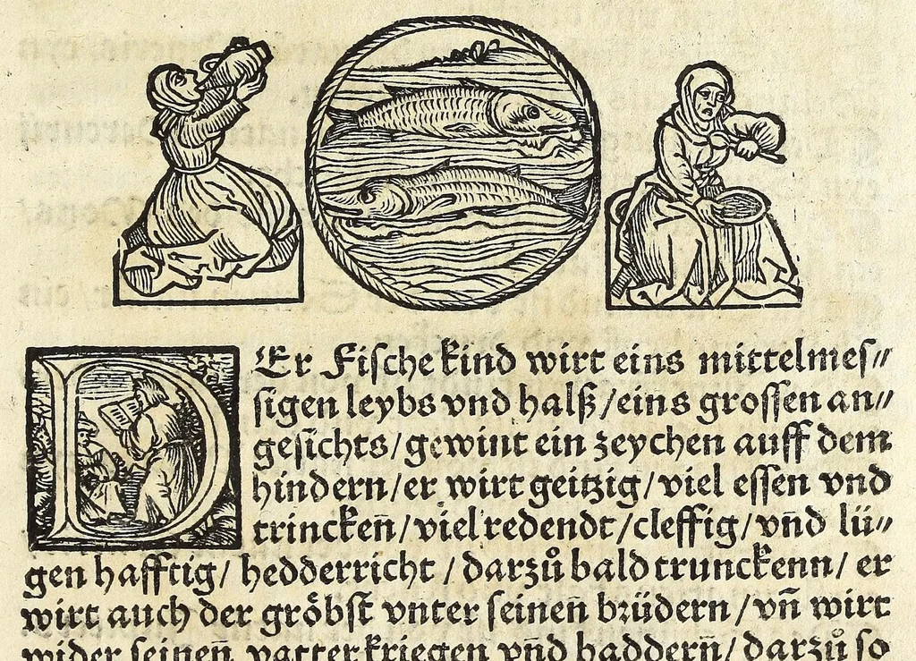 An illustration from Complexion : Natür vnd Eigenschafft eines yeden Menschen zü erfaren, auch seiner Gebürtstund vnnd Zeychen, ... auss zü rechnen, 1534, leaf 29