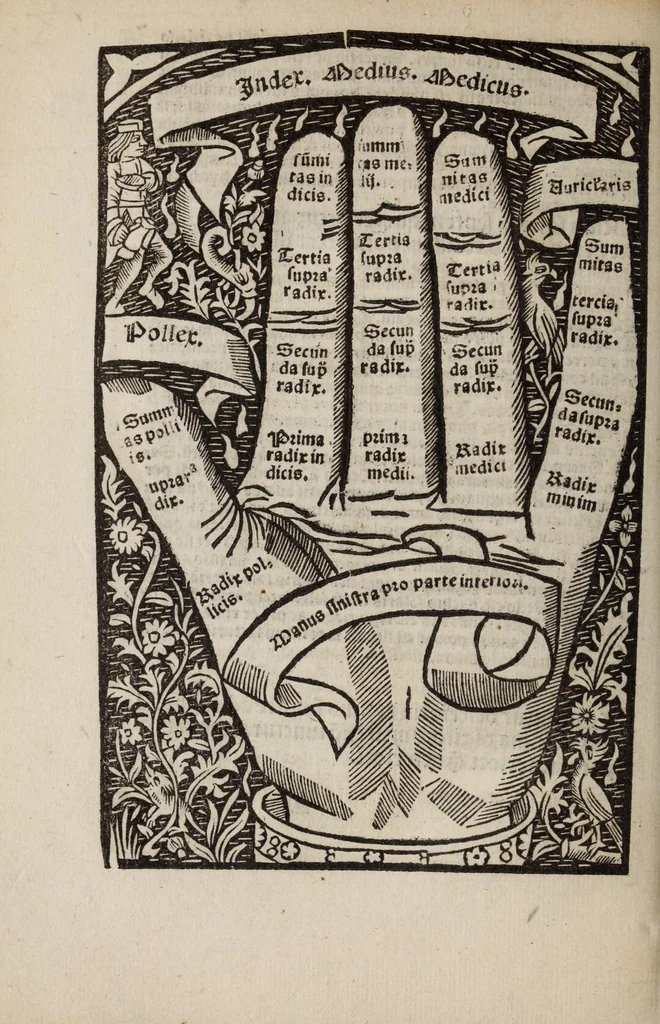 An illustration from Compot. magistri Aniani : familiari co[m]me[n]tario declaratus vna cum figuris [et] manibus suis in locis auspicato adiectis, in quaru[m] iuncturis quiq[ue] digitorum doctrina huius libri explanatur, recentissimeq[ue] eme[n]datus, 1500, leaf 14