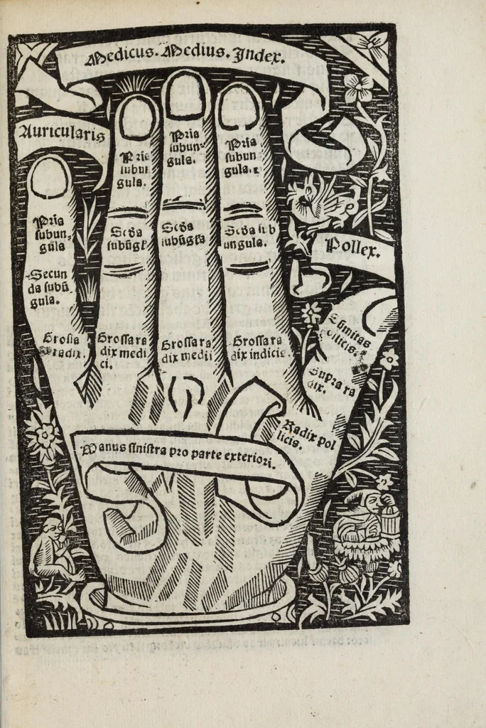 An illustration from Compot. magistri Aniani : familiari co[m]me[n]tario declaratus vna cum figuris [et] manibus suis in locis auspicato adiectis, in quaru[m] iuncturis quiq[ue] digitorum doctrina huius libri explanatur, recentissimeq[ue] eme[n]datus, 1500, leaf 15