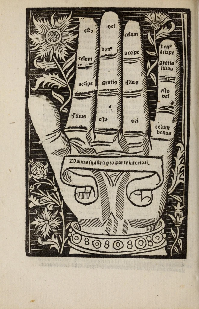 An illustration from Compot. magistri Aniani : familiari co[m]me[n]tario declaratus vna cum figuris [et] manibus suis in locis auspicato adiectis, in quaru[m] iuncturis quiq[ue] digitorum doctrina huius libri explanatur, recentissimeq[ue] eme[n]datus, 1500, leaf 18