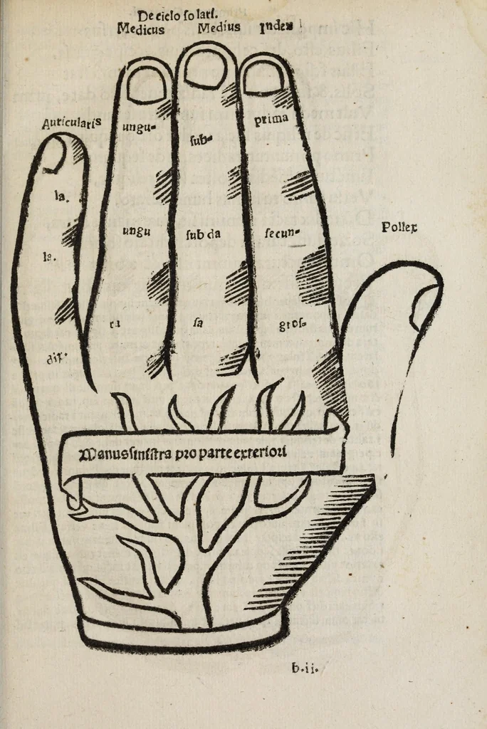 An illustration from Compotus manualis magistri Aniani : cum familiarissimo Iacobi Marsi delphinatis commentario : cu[m]q[ue] magistri Nicolai Bonespei kalendario, & Cerei paschalis tabula, aliisq[ue] multis pro ipsius notitia conducibilibus, 1531, leaf 33