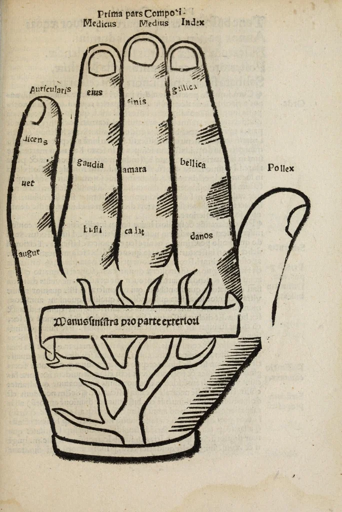 An illustration from Compotus manualis magistri Aniani : cum familiarissimo Iacobi Marsi delphinatis commentario : cu[m]q[ue] magistri Nicolai Bonespei kalendario, & Cerei paschalis tabula, aliisq[ue] multis pro ipsius notitia conducibilibus, 1531, leaf 41