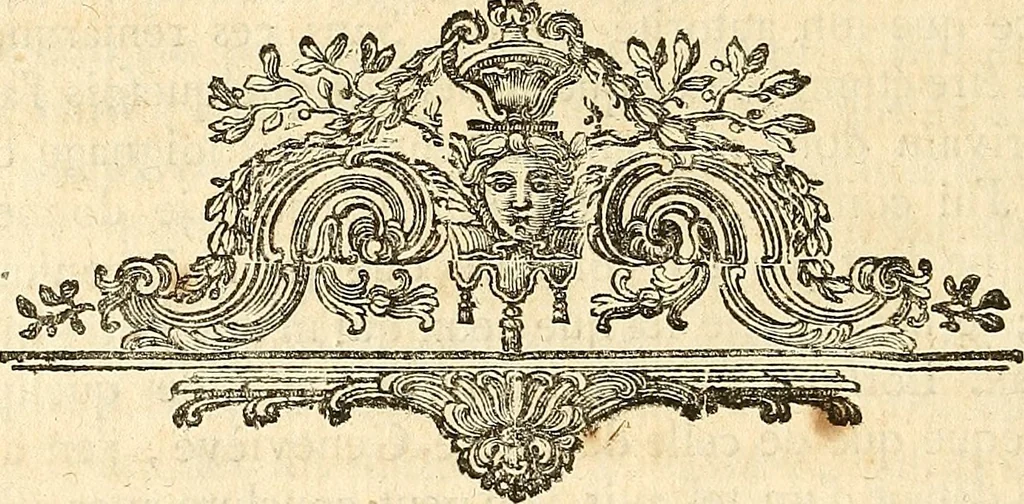 An illustration from Cométographie; ou, Traité historique et théorique des comètes., 1783, leaf 219