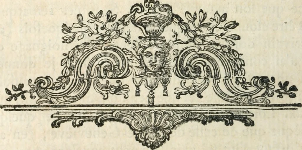An illustration from Cométographie ou Traité historique et théorique des comètes, 1783, leaf 219