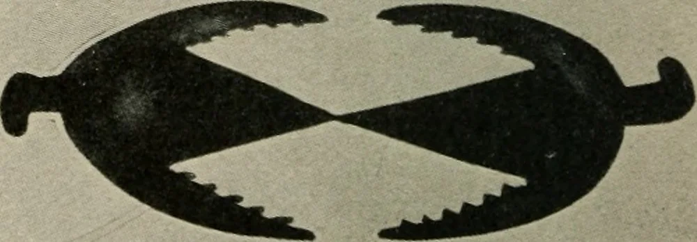 An illustration from The conception of art, 1913, leaf 43