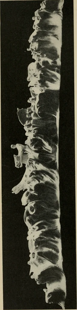 An illustration from The conception of art, 1913, leaf 97