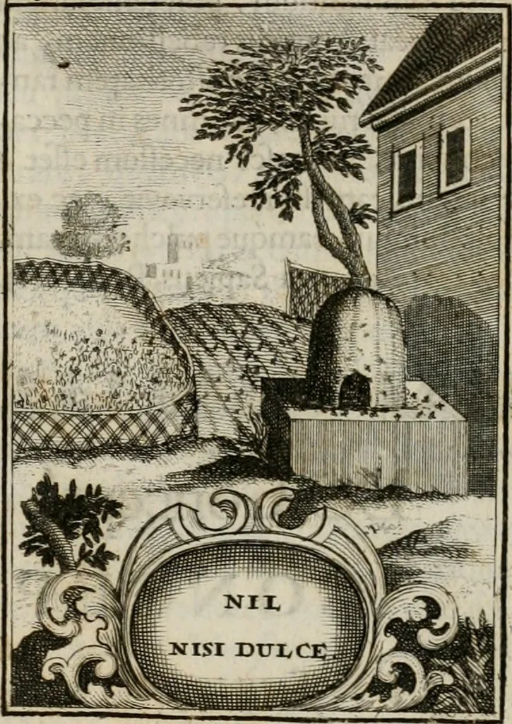 An illustration from Conceptvs chronographicvs de concepta sacra Deipara : Septingentis Sacrae Scripturae, ss. patrum, ac rationum, nec non historiarum, symbolorum, antiquitatum, et anagrammatum suffragiis roboratus : ac totidem praefixis chronographicis, annum currentem prodentibus copiose instructus : occasione saeculi, hoc eodem anno septima vice absoluti, et celebrati, a patribus Benedictinis liberi, ac imperialis monasterii ad SS. Udalricum, & Afram, Augustae Vindelicorum, 1712, leaf 108