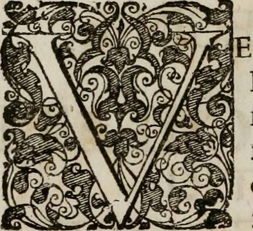 An illustration from Conceptvs chronographicvs de concepta sacra Deipara : Septingentis Sacrae Scripturae, ss. patrum, ac rationum, nec non historiarum, symbolorum, antiquitatum, et anagrammatum suffragiis roboratus : ac totidem praefixis chronographicis, annum currentem prodentibus copiose instructus : occasione saeculi, hoc eodem anno septima vice absoluti, et celebrati, a patribus Benedictinis liberi, ac imperialis monasterii ad SS. Udalricum, & Afram, Augustae Vindelicorum, 1712, leaf 11