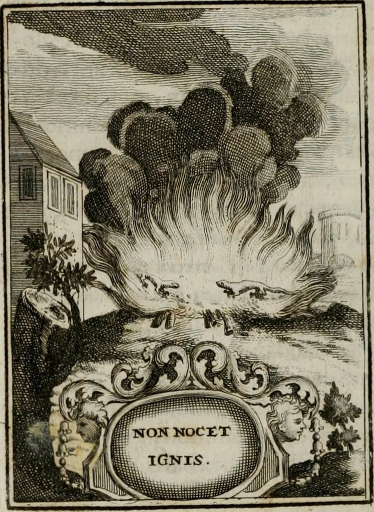 An illustration from Conceptvs chronographicvs de concepta sacra Deipara : Septingentis Sacrae Scripturae, ss. patrum, ac rationum, nec non historiarum, symbolorum, antiquitatum, et anagrammatum suffragiis roboratus : ac totidem praefixis chronographicis, annum currentem prodentibus copiose instructus : occasione saeculi, hoc eodem anno septima vice absoluti, et celebrati, a patribus Benedictinis liberi, ac imperialis monasterii ad SS. Udalricum, & Afram, Augustae Vindelicorum, 1712, leaf 135