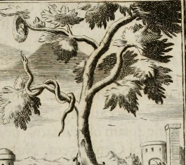 An illustration from Conceptvs chronographicvs de concepta sacra Deipara : Septingentis Sacrae Scripturae, ss. patrum, ac rationum, nec non historiarum, symbolorum, antiquitatum, et anagrammatum suffragiis roboratus : ac totidem praefixis chronographicis, annum currentem prodentibus copiose instructus : occasione saeculi, hoc eodem anno septima vice absoluti, et celebrati, a patribus Benedictinis liberi, ac imperialis monasterii ad SS. Udalricum, & Afram, Augustae Vindelicorum, 1712, leaf 146