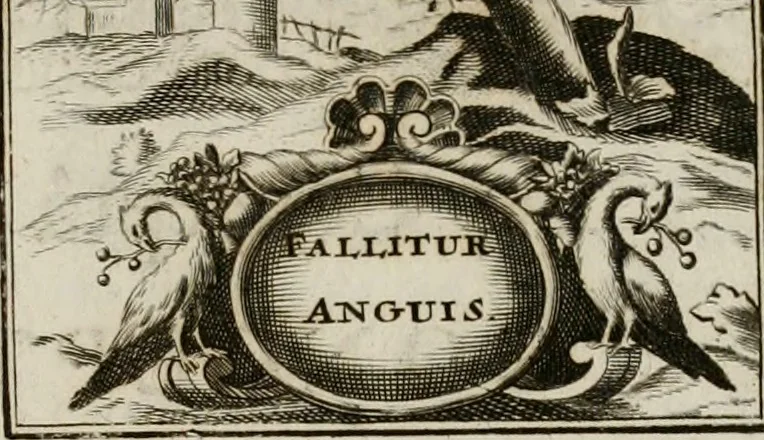 An illustration from Conceptvs chronographicvs de concepta sacra Deipara : Septingentis Sacrae Scripturae, ss. patrum, ac rationum, nec non historiarum, symbolorum, antiquitatum, et anagrammatum suffragiis roboratus : ac totidem praefixis chronographicis, annum currentem prodentibus copiose instructus : occasione saeculi, hoc eodem anno septima vice absoluti, et celebrati, a patribus Benedictinis liberi, ac imperialis monasterii ad SS. Udalricum, & Afram, Augustae Vindelicorum, 1712, leaf 146