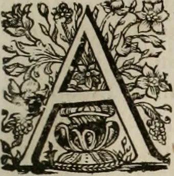 An illustration from Conceptvs chronographicvs de concepta sacra Deipara : Septingentis Sacrae Scripturae, ss. patrum, ac rationum, nec non historiarum, symbolorum, antiquitatum, et anagrammatum suffragiis roboratus : ac totidem praefixis chronographicis, annum currentem prodentibus copiose instructus : occasione saeculi, hoc eodem anno septima vice absoluti, et celebrati, a patribus Benedictinis liberi, ac imperialis monasterii ad SS. Udalricum, & Afram, Augustae Vindelicorum, 1712, leaf 16