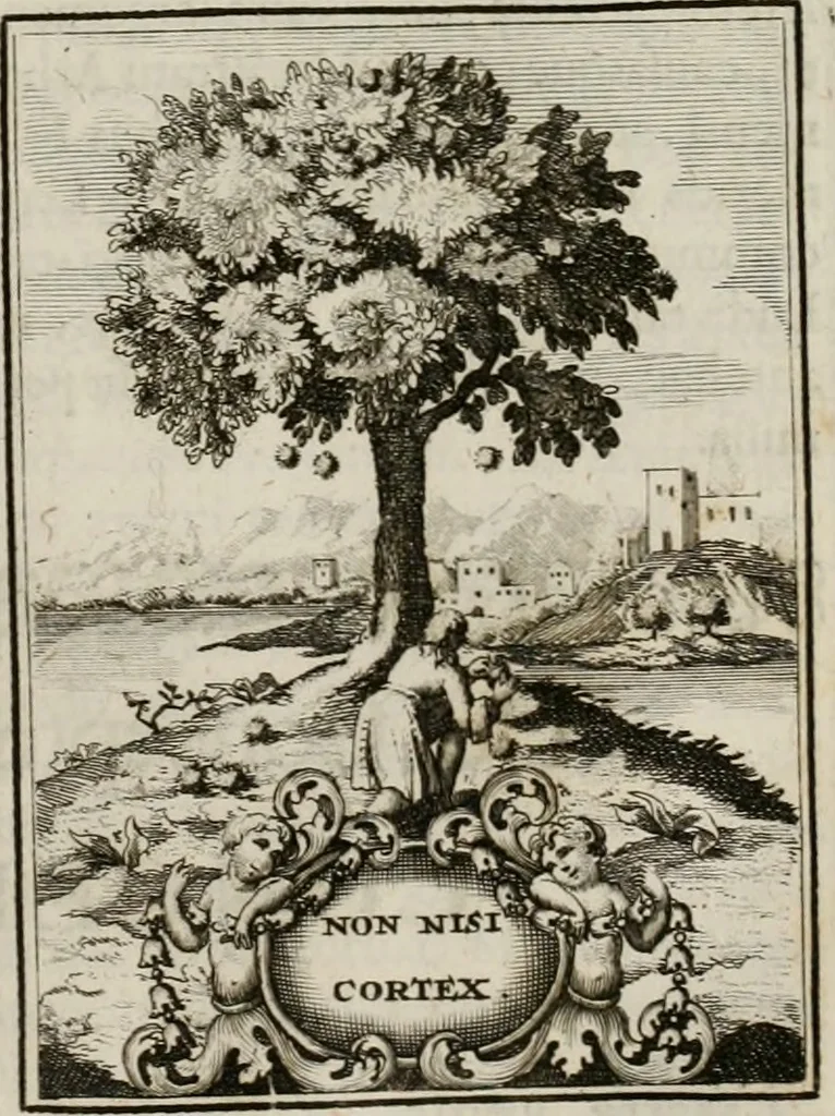 An illustration from Conceptvs chronographicvs de concepta sacra Deipara : Septingentis Sacrae Scripturae, ss. patrum, ac rationum, nec non historiarum, symbolorum, antiquitatum, et anagrammatum suffragiis roboratus : ac totidem praefixis chronographicis, annum currentem prodentibus copiose instructus : occasione saeculi, hoc eodem anno septima vice absoluti, et celebrati, a patribus Benedictinis liberi, ac imperialis monasterii ad SS. Udalricum, & Afram, Augustae Vindelicorum, 1712, leaf 170