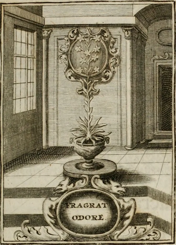An illustration from Conceptvs chronographicvs de concepta sacra Deipara : Septingentis Sacrae Scripturae, ss. patrum, ac rationum, nec non historiarum, symbolorum, antiquitatum, et anagrammatum suffragiis roboratus : ac totidem praefixis chronographicis, annum currentem prodentibus copiose instructus : occasione saeculi, hoc eodem anno septima vice absoluti, et celebrati, a patribus Benedictinis liberi, ac imperialis monasterii ad SS. Udalricum, & Afram, Augustae Vindelicorum, 1712, leaf 174