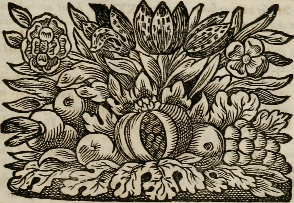 An illustration from Conceptvs chronographicvs de concepta sacra Deipara : Septingentis Sacrae Scripturae, ss. patrum, ac rationum, nec non historiarum, symbolorum, antiquitatum, et anagrammatum suffragiis roboratus : ac totidem praefixis chronographicis, annum currentem prodentibus copiose instructus : occasione saeculi, hoc eodem anno septima vice absoluti, et celebrati, a patribus Benedictinis liberi, ac imperialis monasterii ad SS. Udalricum, & Afram, Augustae Vindelicorum, 1712, leaf 18